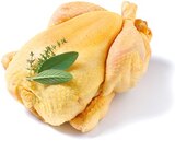 Frisches spanisches Maishähnchen im Netto mit dem Scottie Prospekt Frisches spanisches Maishähnchen im aktuellen Netto mit dem Scottie Prospekt für 4,99 €