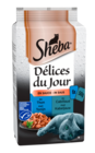 Sachets repas Délices du jour - SHEBA dans le catalogue Carrefour Market