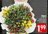 Tulpen bei E center im Krefeld Prospekt für 1,99 €