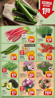Blumen im REWE Prospekt "Dein Markt" mit 34 Seiten (Mannheim)