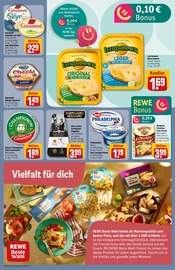 Champignons im REWE Prospekt in Ingolstadt Aktueller REWE Prospekt mit Champignons, "Dein Markt", Seite 13