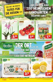 Pflanzen im aktuellen Netto Marken-Discount Prospekt (Hagen (Stadt der FernUniversität)) Pflanzen im Netto Marken-Discount Prospekt "Neueröffnung - 10% auf ALLES" mit 6 Seiten (Hagen (Stadt der FernUniversität))
