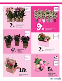 Prix et réduction Fleur En Pot dans le prospectus E.Leclerc en cours Offre Fleur En Pot dans le catalogue E.Leclerc du moment à la page 5