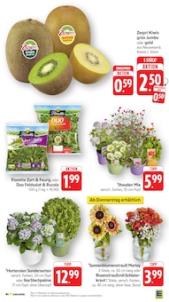 Pflanzen im aktuellen EDEKA Prospekt (Frankfurt (Main)) Pflanzen im EDEKA Prospekt "Aktuelle Angebote" mit 45 Seiten (Frankfurt (Main))