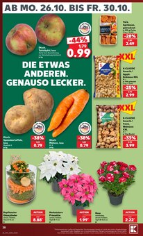 Pflanzen im aktuellen Kaufland Prospekt (Jena) Pflanzen im Kaufland Prospekt "Hier bin ich richtig" mit 76 Seiten (Jena)