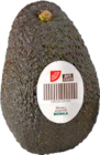 Avocado Hass bei Frischemarkt Schwabe im Prospekt "" für 0,99 €