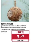 Kokosnuss von  im aktuellen Dehner Garten-Center Prospekt für 3,99 €