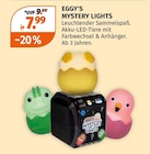 Müller Herbrechtingen - MYSTERY LIGHTS Angebot im Prospekt MYSTERY LIGHTS bei Müller im Herbrechtingen Prospekt für 7,99 €