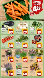 Blumen im REWE Prospekt in Moers Aktueller REWE Prospekt mit Blumen, "Dein Markt", Seite 5