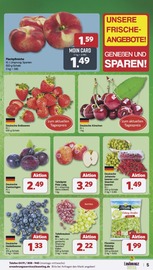 Erdbeeren im famila Nordwest Prospekt in Lingen Aktueller famila Nordwest Prospekt mit Erdbeeren, "Markt - Angebote", Seite 5