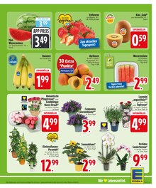 Blumen im EDEKA Prospekt "Wir lieben Lebensmittel." mit 31 Seiten (Augsburg)