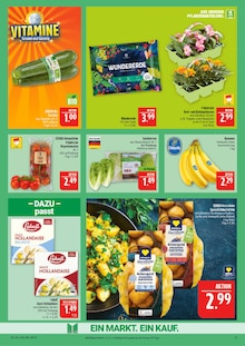 Bananen im aktuellen Marktkauf Prospekt (Nürnberg) Bananen im Marktkauf Prospekt "AUSWAHL RIESIG, PREISE NIEDRIG" mit 44 Seiten (Nürnberg)