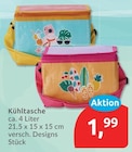 Kühltasche im aktuellen budni Prospekt