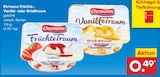 Netto Marken-Discount Niefern-Öschelbronn - Früchte-, Vanille- oder Grießtraum Angebot im Prospekt Früchte-, Vanille- oder Grießtraum bei Netto Marken-Discount im Niefern-Öschelbronn Prospekt für 0,49 €