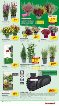 Blumen im aktuellen toom Baumarkt Prospekt (Pforzheim) Blumen im toom Baumarkt Prospekt "Respekt, wer's selber macht." mit 18 Seiten (Pforzheim)