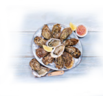 Huîtres fines de claires en promo chez Provenc’halles Romans-sur-Isère à 9,90 €