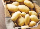 Intermarché Super Corbeny - Promo Pomme de terre de consommation Intermarché Terroirs Promo Pomme de terre de consommation Intermarché Terroirs à 1,49 € dans le catalogue Intermarché Super à Corbeny