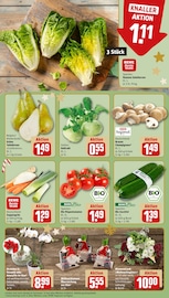 Aktueller REWE Prospekt mit Pilze, "Dein Markt", Seite 9