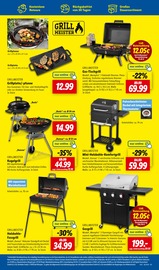 Holzkohlegrill im Lidl Prospekt in Lehrte Aktueller Lidl Prospekt mit Holzkohlegrill, "LIDL LOHNT SICH", Seite 25
