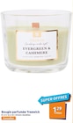 Bougie parfumée Evergreen & Cashmere - Treewick en promo chez Action Aubervilliers à 1,29 €