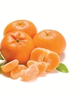 Mandarinen im Netto mit dem Scottie Prospekt zum Preis von 1,59 €