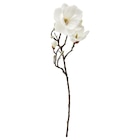 Aktuelles Kunstblume drinnen/draußen/Magnolie weiß Angebot bei IKEA in Göttingen ab 3,99 €