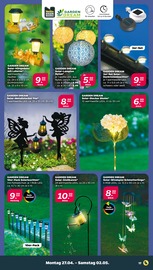 Aktueller Netto mit dem Scottie Prospekt mit Gartenwerkzeug, "Günstig. Besser. Für Dich.", Seite 21