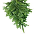 Tannenzweige Blaue Edeltanne oder Nordmanntanne im Angebot bei BayWa Bau- und Gartenmärkte in Nürnberg Tannenzweige Blaue Edeltanne oder Nordmanntanne Angebote bei BayWa Bau- und Gartenmärkte Nürnberg für 4,29 €