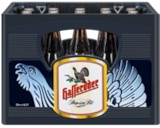 Premium Pils Angebote von Hasseröder bei Kaufland Stralsund für 7,77 €