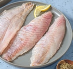 Rotbarschfilet bei tegut im Ober-Ramstadt Prospekt für 2,79 €