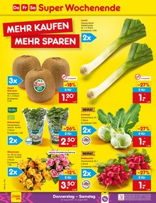 Pflanzen im Netto Marken-Discount Prospekt "Aktuelle Angebote" mit 70 Seiten (Ingolstadt)