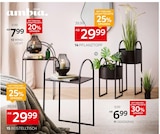 Dekogras im Angebot bei XXXLutz Möbelhäuser in Peine Dekogras Angebote von Ambia Home bei XXXLutz Möbelhäuser Peine für 6,99 €