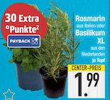 Rosmarin im Angebot bei EDEKA in Straubing Rosmarin Angebote bei EDEKA Straubing für 1,99 €