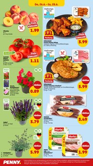 Schweinefleisch im Penny Prospekt "Wer günstig will, muss Penny." mit 37 Seiten (Hamm)
