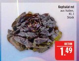 Aktuelle Salat Angebote bei Marktkauf in Nürnberg Aktuelles Kopfsalat rot Angebot bei Marktkauf in Nürnberg ab 1,49 €