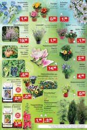 Aktueller Zimmermann Prospekt mit Gartenerde, "Aktuelle Angebote", Seite 11