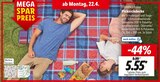 Aktuelles Picknickdecke Angebot bei Lidl in Essen ab 5,55 €