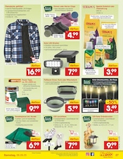 Kleber im Netto Marken-Discount Prospekt in Rostock Aktueller Netto Marken-Discount Prospekt mit Kleber, "Aktuelle Angebote", Seite 37