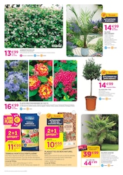Promos Terreau dans le catalogue "TOP PRIX !" de Delbard à la page 2