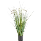 KUNSTPFLANZE 90 cm von Ambia Home für 12,99 € bei XXXLutz im Angebot KUNSTPFLANZE 90 cm von Ambia Home im aktuellen XXXLutz Prospekt