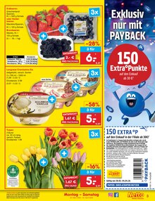 Blumen im Netto Marken-Discount Prospekt "Aktuelle Angebote" mit 62 Seiten (Bremerhaven)