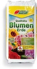 Netto Marken-Discount - Blumenerde Angebot im Prospekt Blumenerde bei Netto Marken-Discount im Prospekt "" für 1,29 €