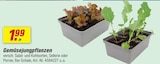 Gemüsepflanzen Angebote bei toom Baumarkt Baden-Baden für 1,99 €
