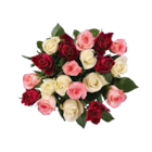 Rosenstrauß bunt im aktuellen Lidl Prospekt