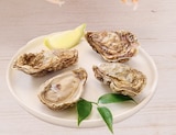 Plateau de la mer avec 4 huitres marennes oleron fines de claires IGP - U Express à Avignon Plateau de la mer avec 4 huitres marennes oleron fines de claires IGP en promo chez U Express Avignon à 10,49 €