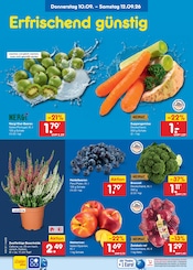 Mixer im Netto Marken-Discount Prospekt in Flensburg Aktueller Netto Marken-Discount Prospekt mit Mixer, "Aktuelle Angebote", Seite 3