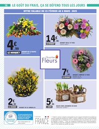 Offre Jardinière dans le catalogue E.Leclerc du moment à la page 16