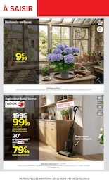 Prix et réduction Hortensia dans le prospectus Carrefour en cours Offre Hortensia dans le catalogue Carrefour du moment à la page 72