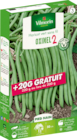 Haricot vert sans fil ‘oxinel 2’ VILMORIN - VILMORIN - Delbard Haricot vert sans fil ‘oxinel 2’ VILMORIN - VILMORIN à 9,99 € dans le catalogue Delbard