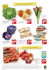 Tulpen im EDEKA Prospekt in Tübingen Aktueller EDEKA Prospekt mit Tulpen, "Aktuelle Angebote", Seite 12